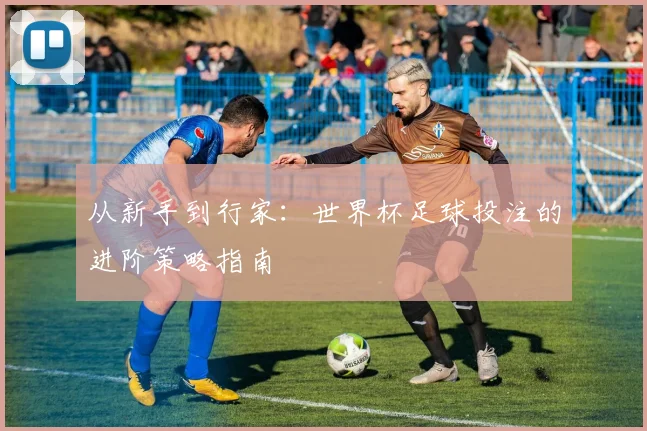 从新手到行家：世界杯足球投注的进阶策略指南