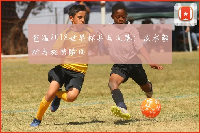 重温2018世界杯乒乓决赛：技术解析与经典瞬间