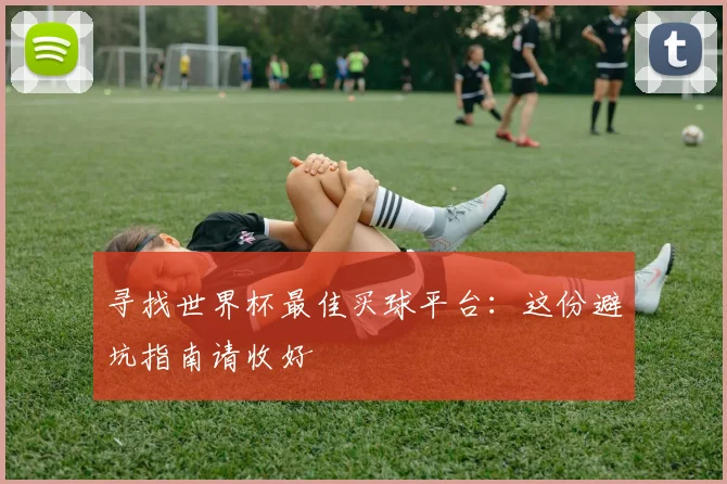 寻找世界杯最佳买球平台:这份避坑指南请收好