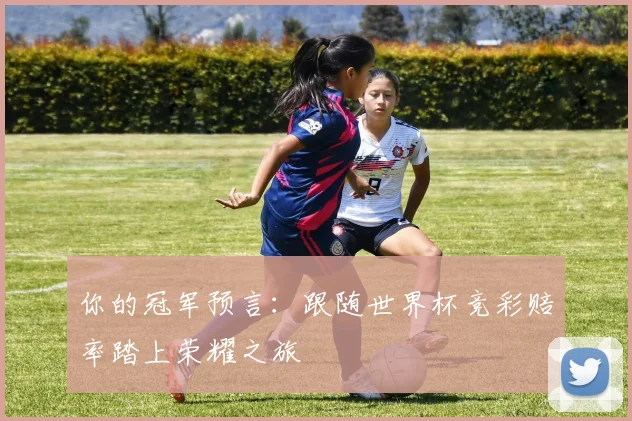 你的冠军预言：跟随世界杯竞彩赔率踏上荣耀之旅
