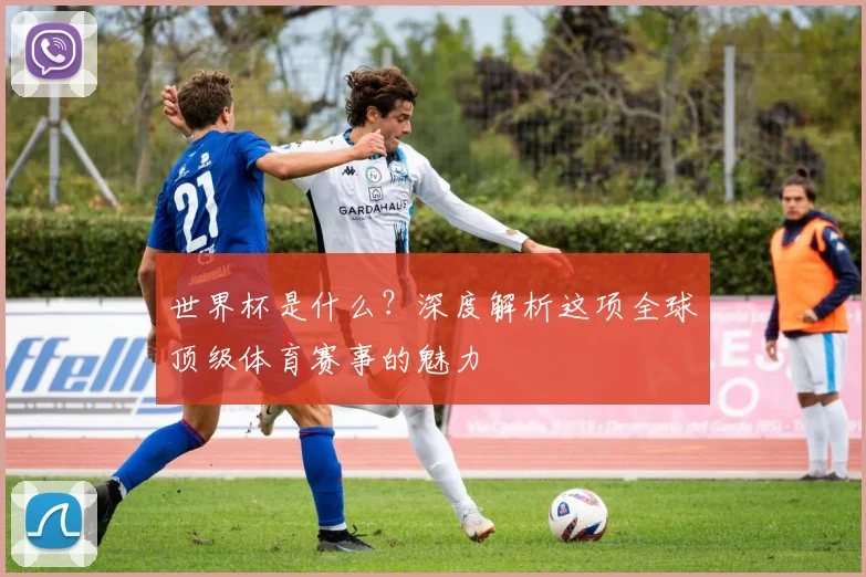 世界杯是什么？深度解析这项全球顶级体育赛事的魅力