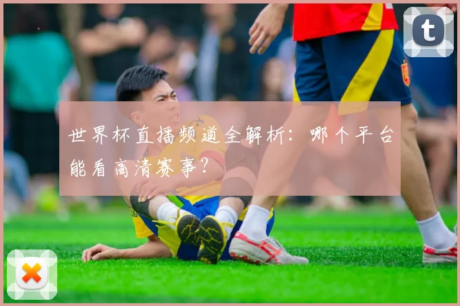 世界杯直播频道全解析：哪个平台能看高清赛事？